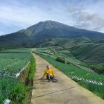 Lanskap Perdesaan Magelang