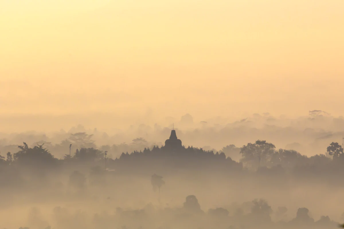 Where Nature Meets Culture