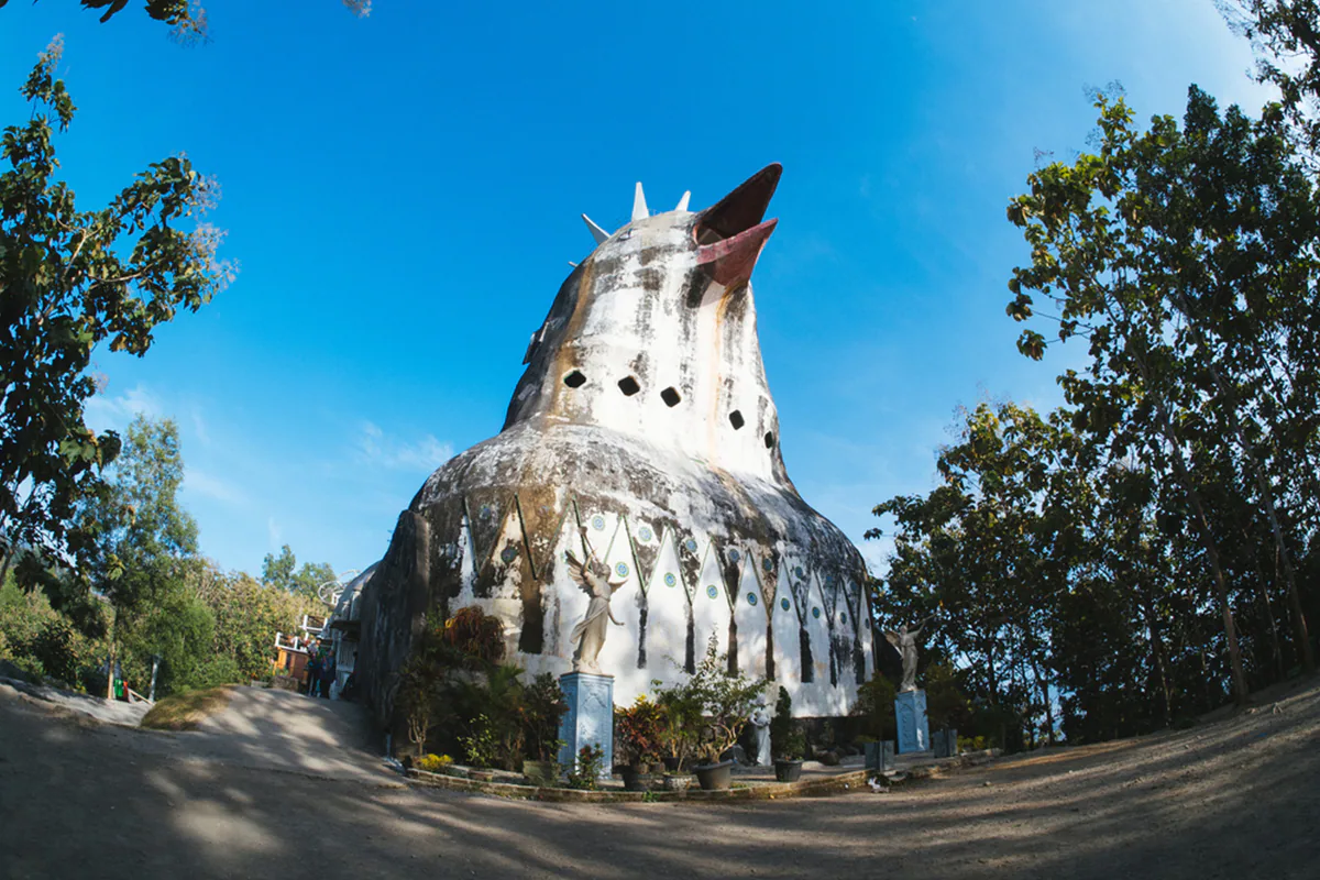 Where Nature Meets Culture