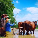 desa-wisata-borobudur