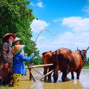 Serunya Menginap di Desa Wisata Borobudur